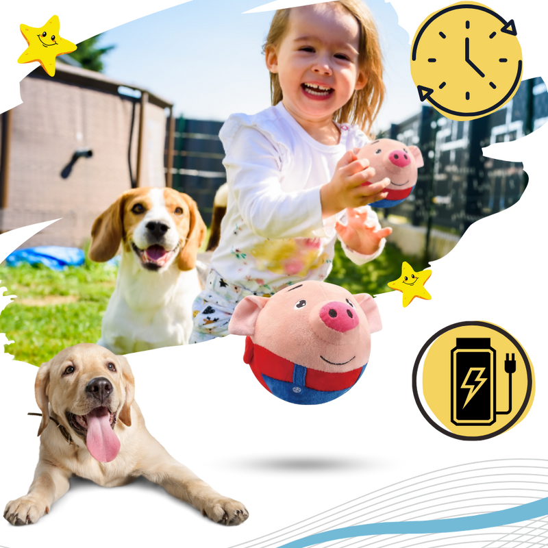 Jouet interactif pour chien