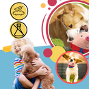 Jouet interactif pour chien