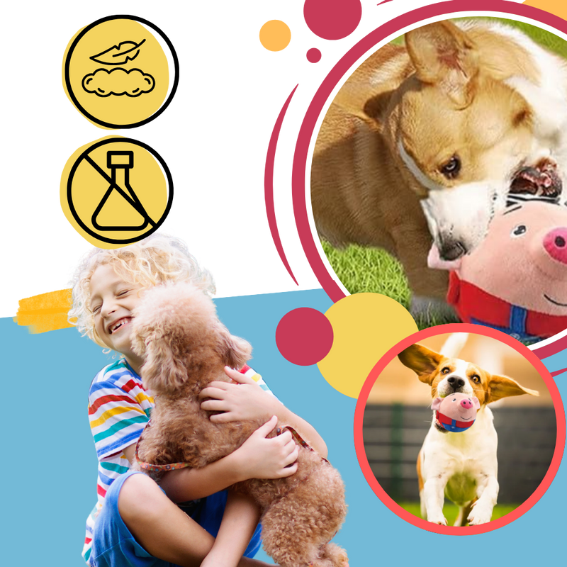 Jouet interactif pour chien