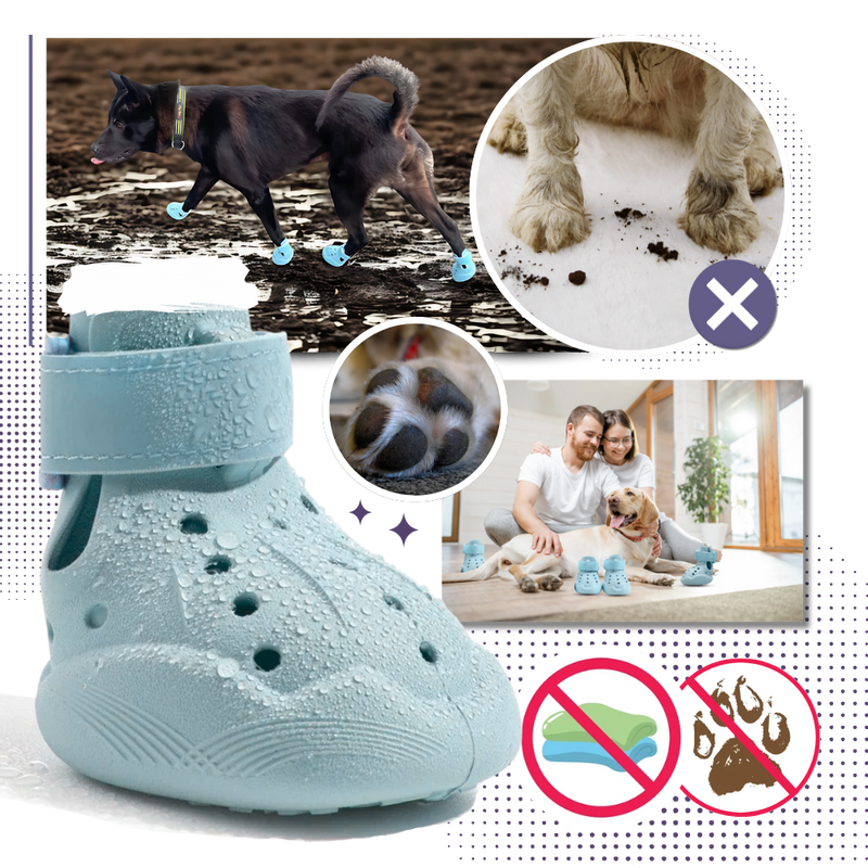 Bottines de protection pour pattes