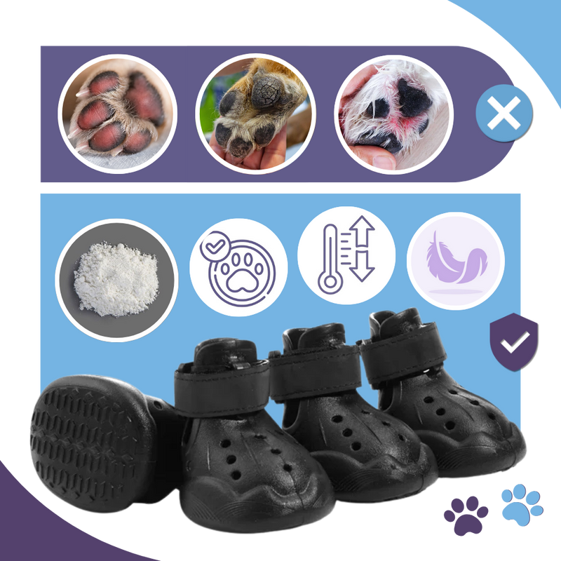 Bottines de protection pour pattes