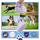 Bottines de protection pour pattes