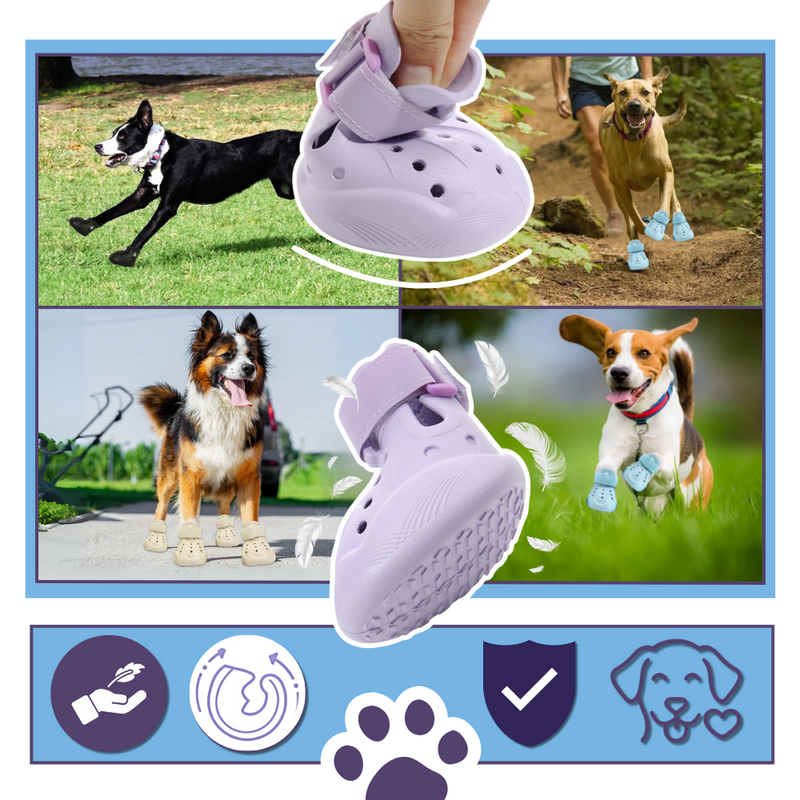 Bottines de protection pour pattes