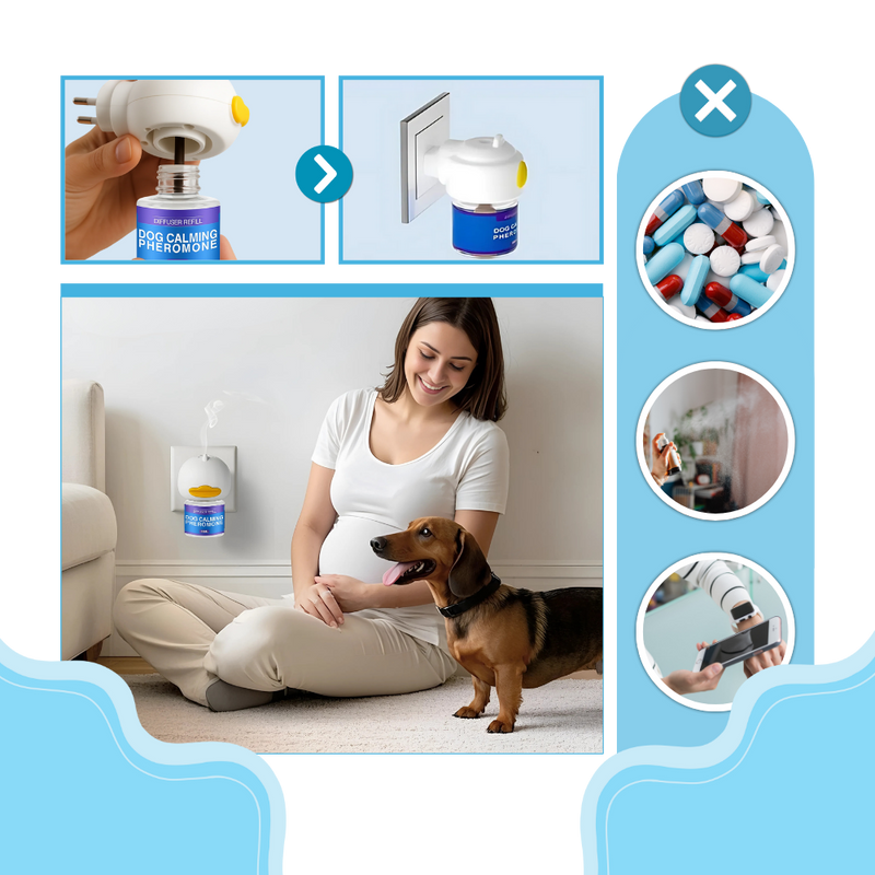 Diffuseur de phéromones