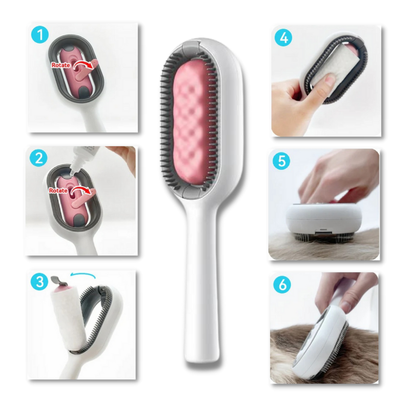 Brosse de toilettage avec réservoir d'eau
