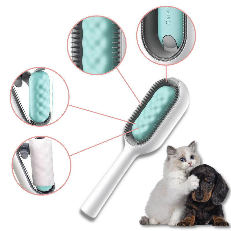 Brosse de toilettage avec réservoir d'eau