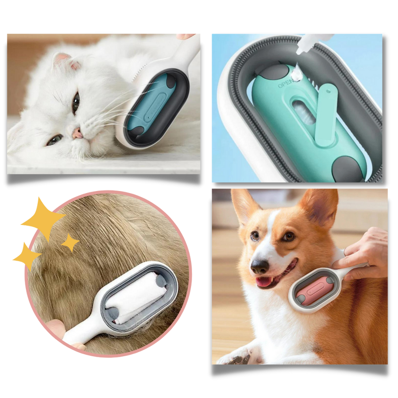 Brosse de toilettage avec réservoir d'eau