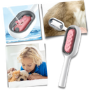 Brosse de toilettage avec réservoir d'eau