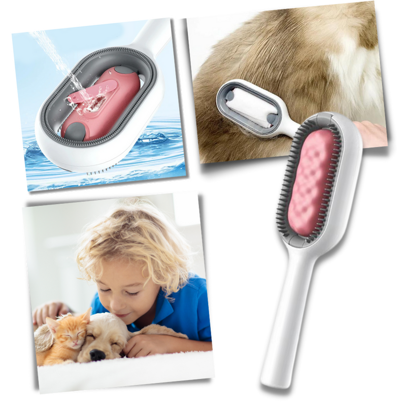 Brosse de toilettage avec réservoir d'eau