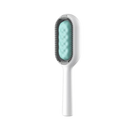 Brosse de toilettage avec réservoir d'eau