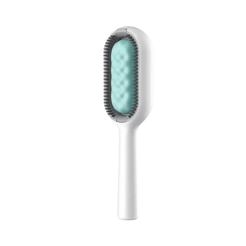 Brosse de toilettage avec réservoir d'eau