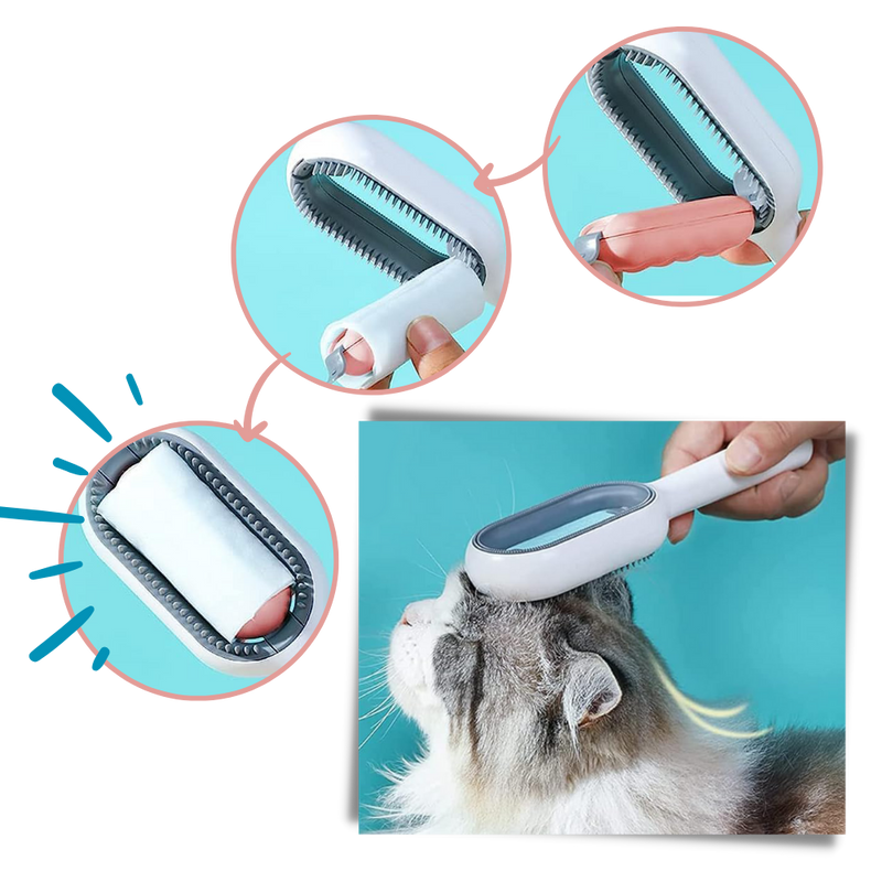 Brosse de toilettage avec réservoir d'eau