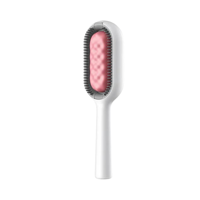 Brosse de toilettage avec réservoir d'eau