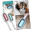 Brosse de toilettage avec réservoir d'eau