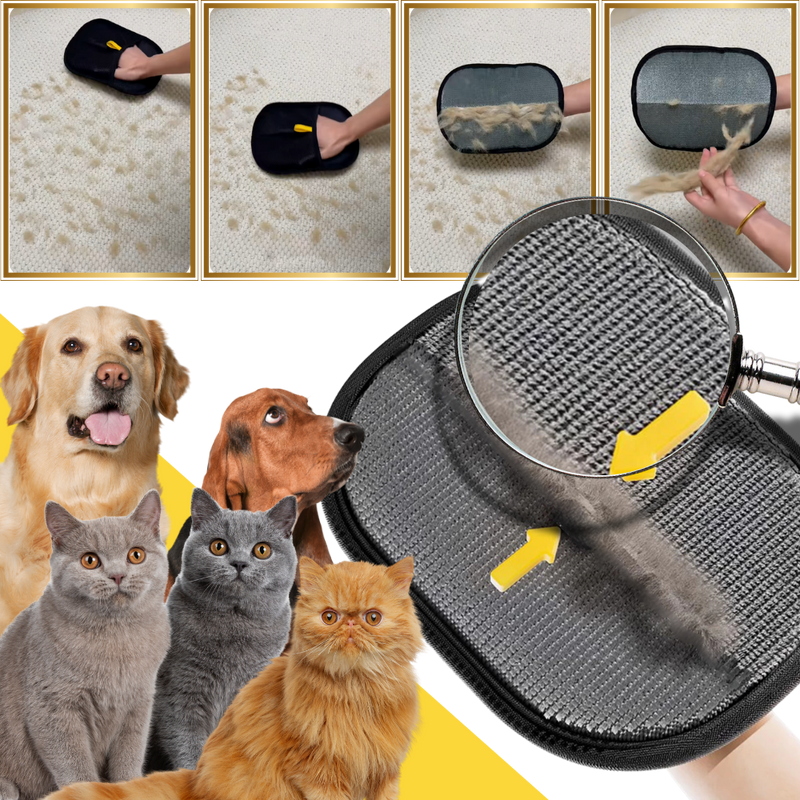 Gant anti-poils pour animaux