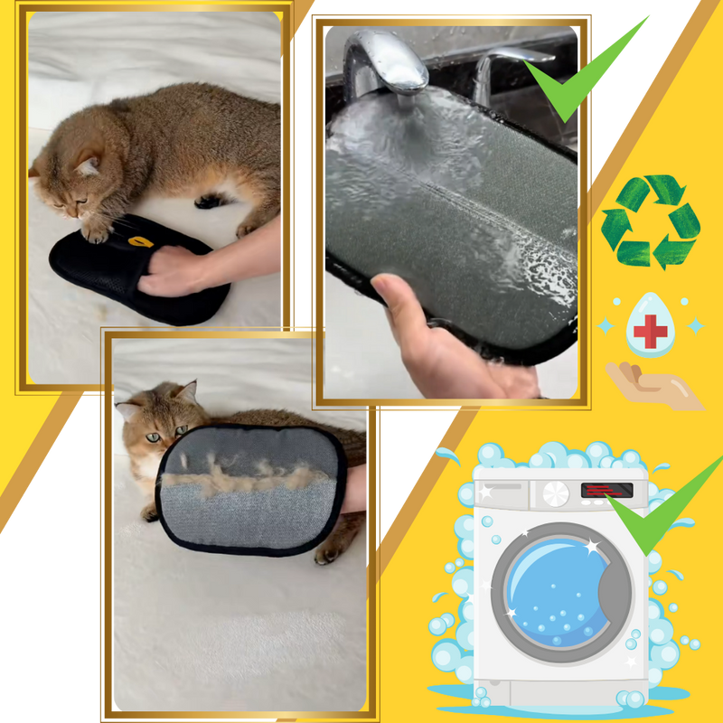 Gant anti-poils pour animaux