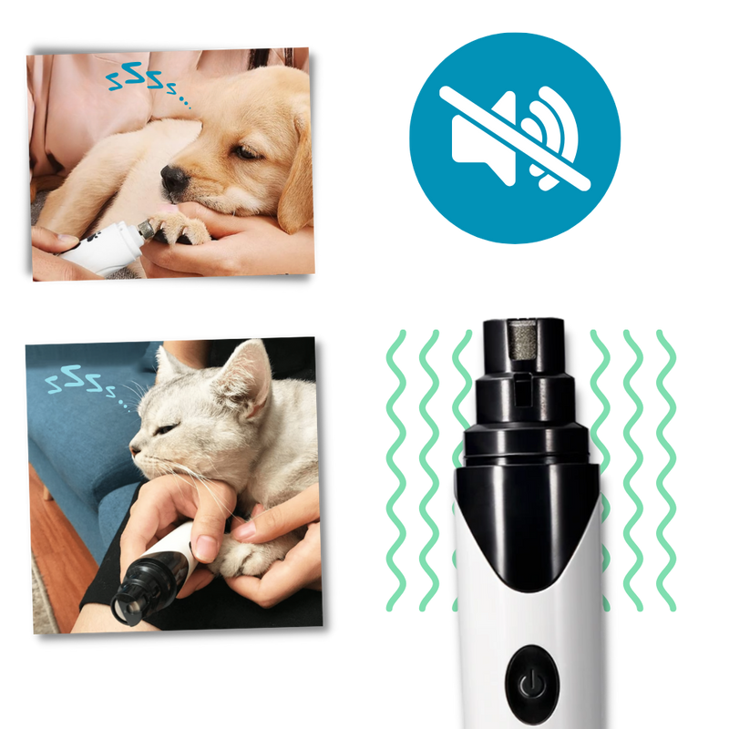 Coupe ongles pour animaux de compagnie