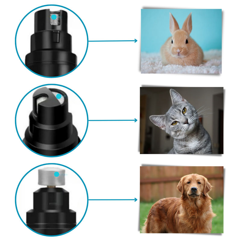 Coupe ongles pour animaux de compagnie