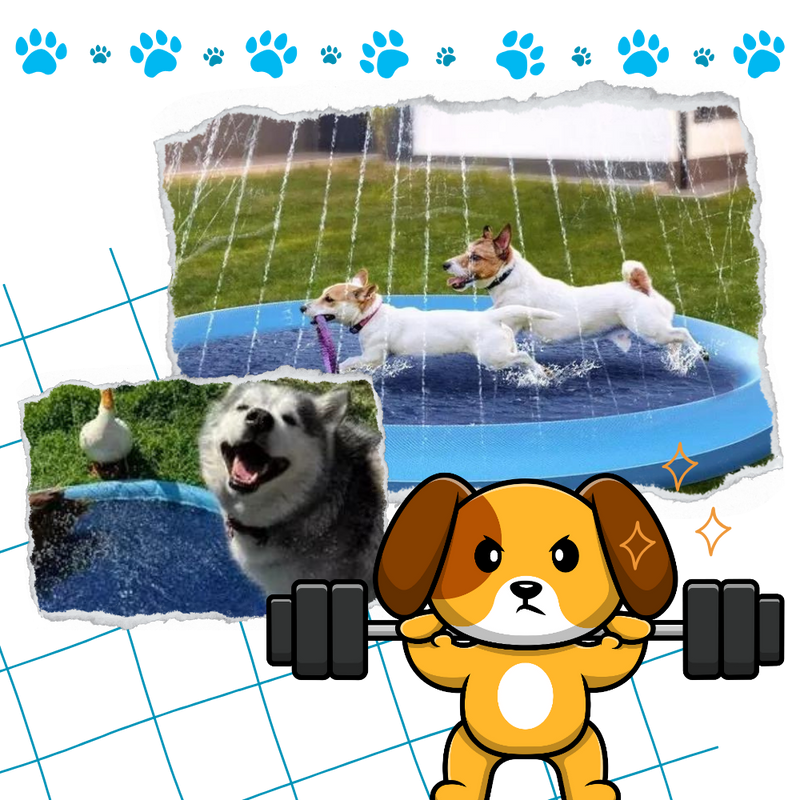 Pataugeoire portable pour chiens