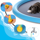 Pataugeoire portable pour chiens