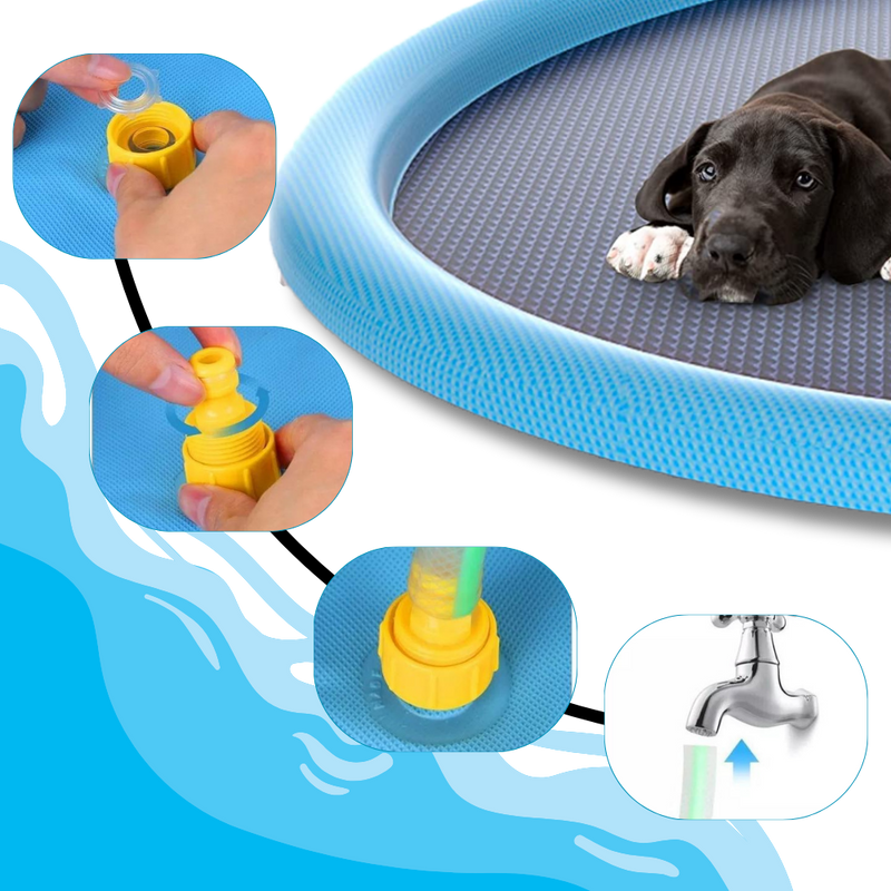 Pataugeoire portable pour chiens