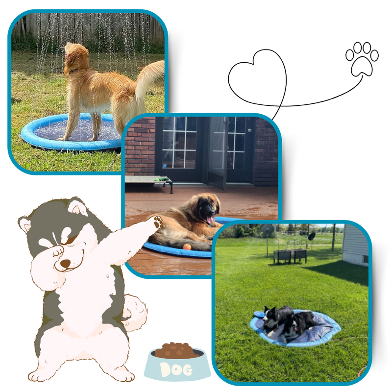 Pataugeoire portable pour chiens