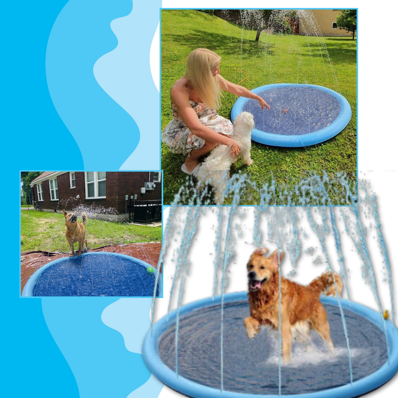 Pataugeoire portable pour chiens