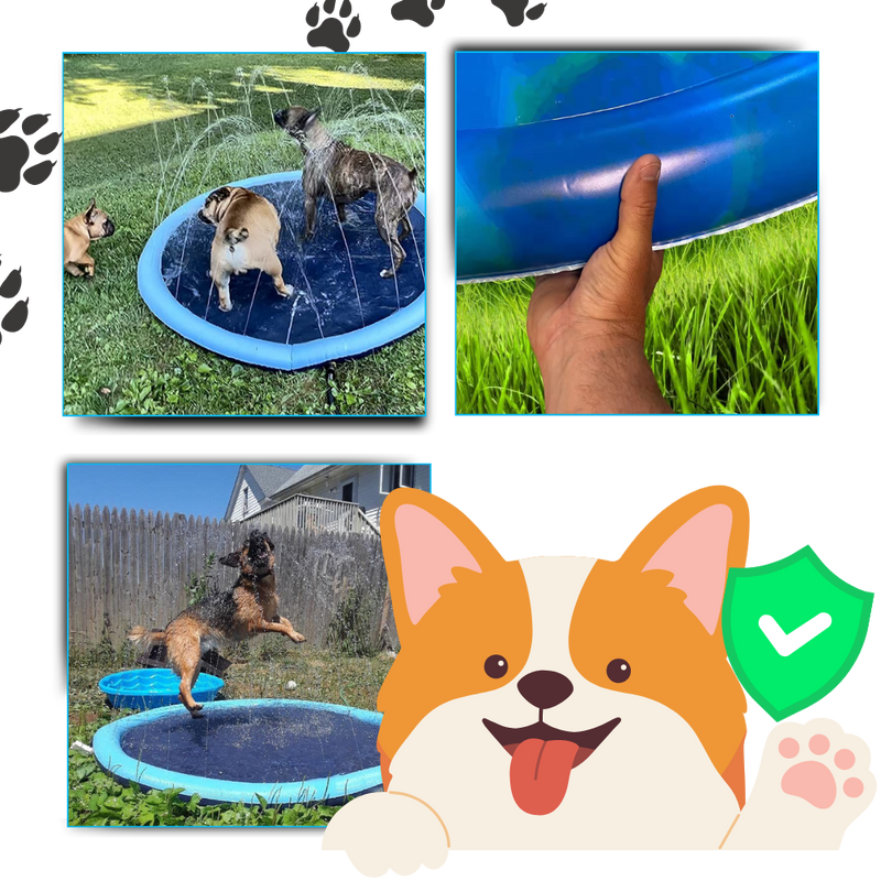 Pataugeoire portable pour chiens