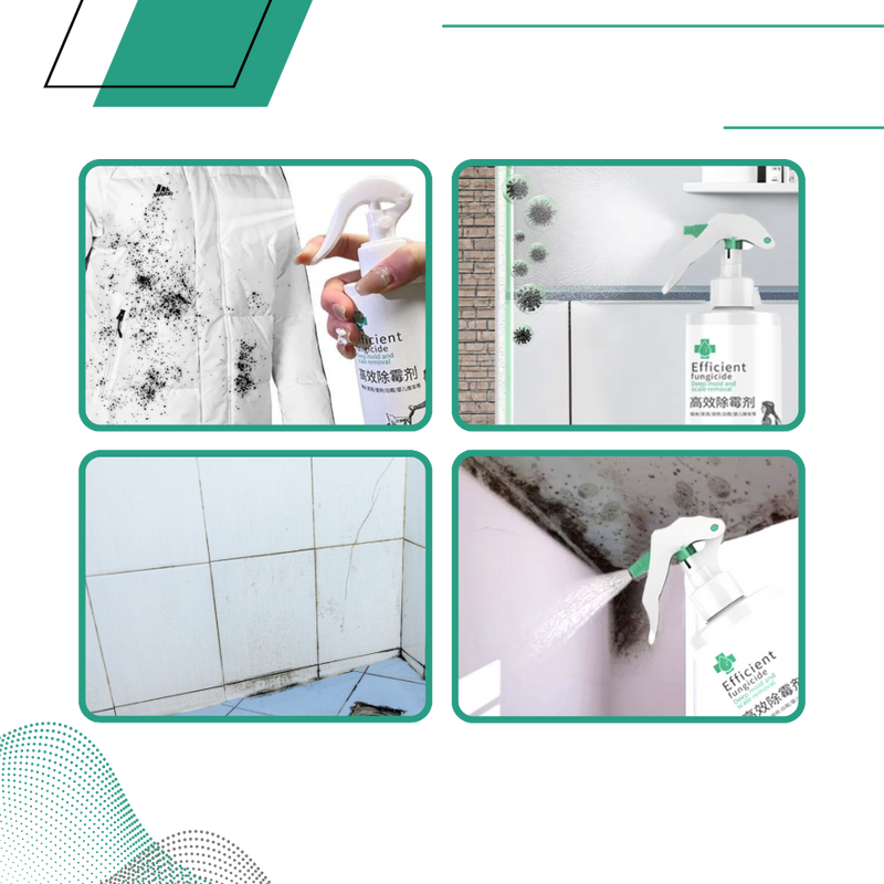 Spray puissant contre les moisissures