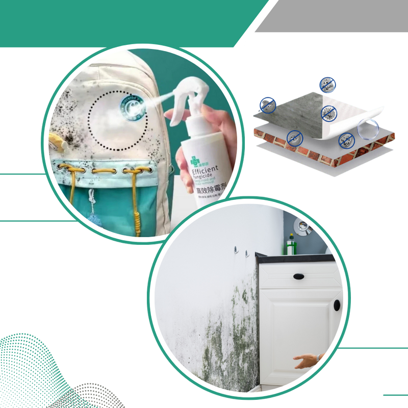 Spray puissant contre les moisissures