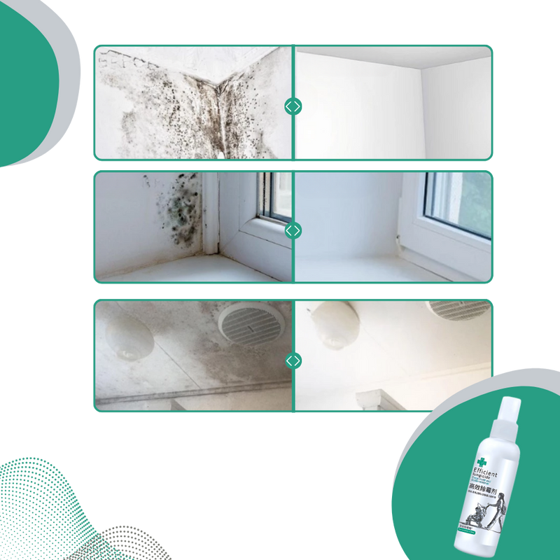 Spray puissant contre les moisissures