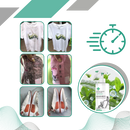 Spray puissant contre les moisissures