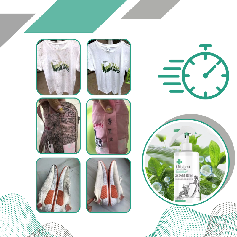 Spray puissant contre les moisissures