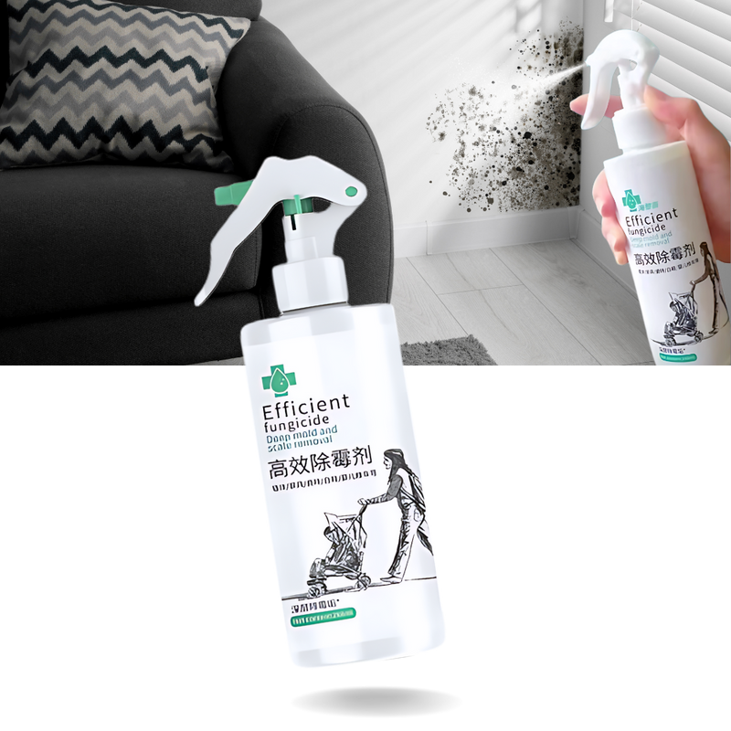 Spray puissant contre les moisissures