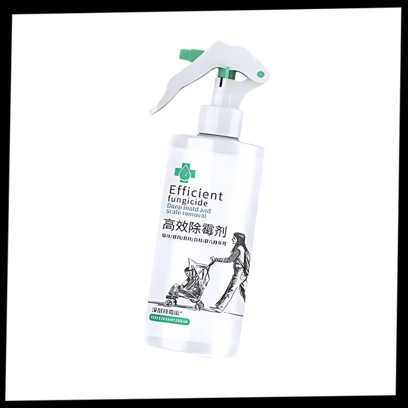 Spray puissant contre les moisissures