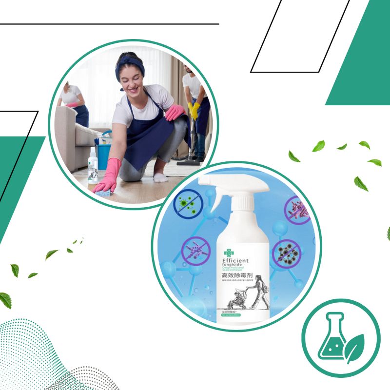 Spray puissant contre les moisissures