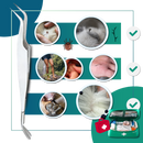 Pince à Tiques De Précision