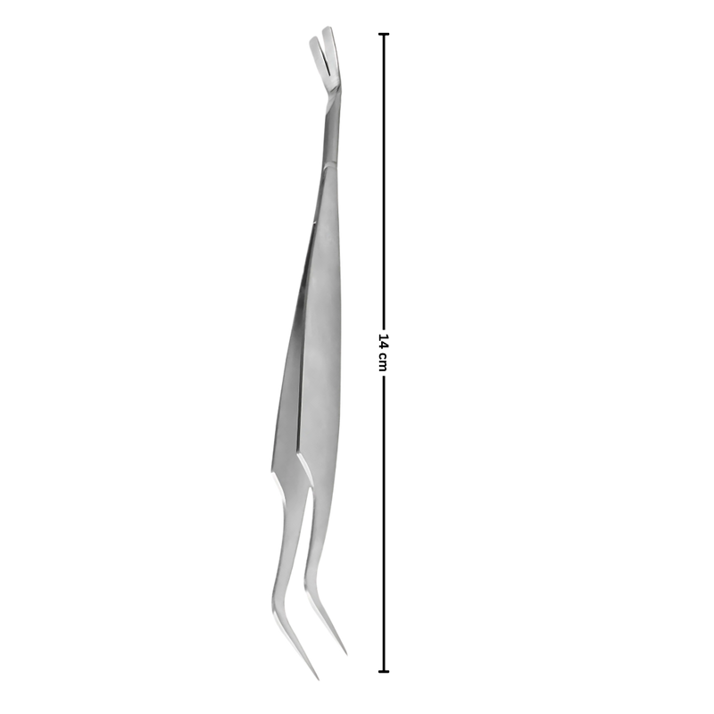 Pince à Tiques De Précision