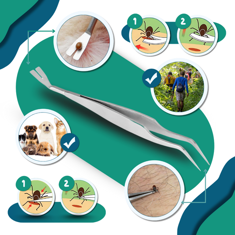 Pince à Tiques De Précision