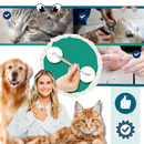 Pince à Tiques De Précision