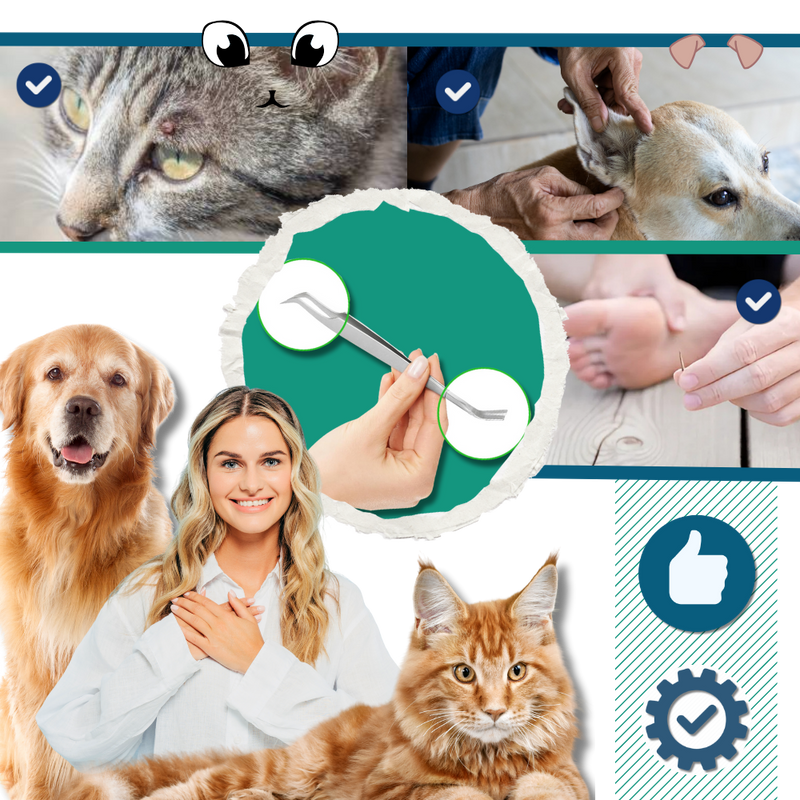 Pince à Tiques De Précision