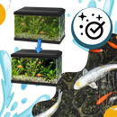 Produit anti-algues préventif pour aquarium