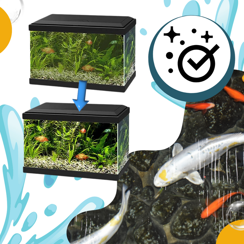 Produit anti-algues préventif pour aquarium