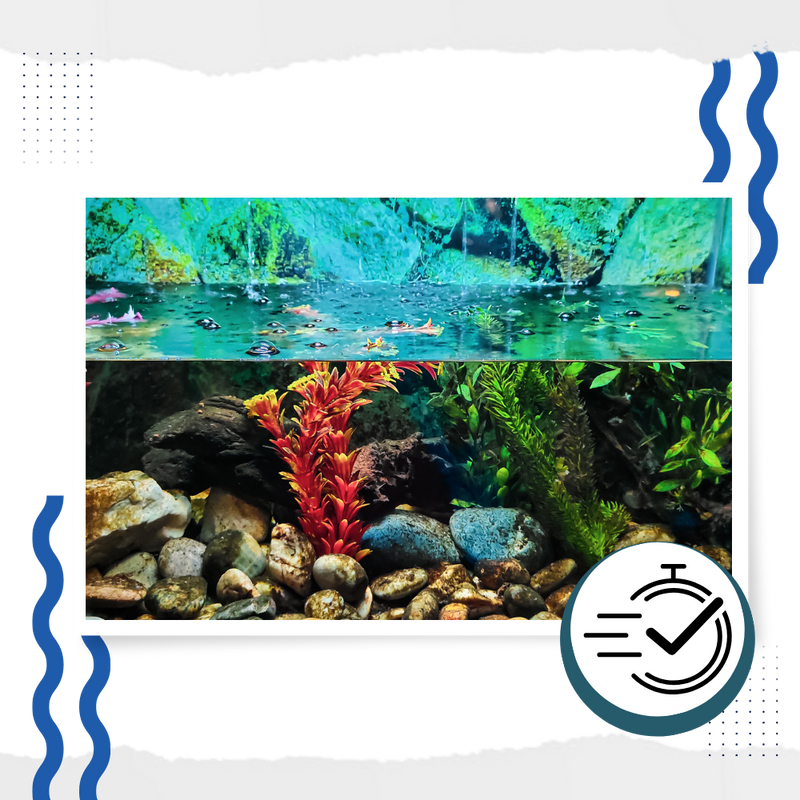 Produit anti-algues préventif pour aquarium