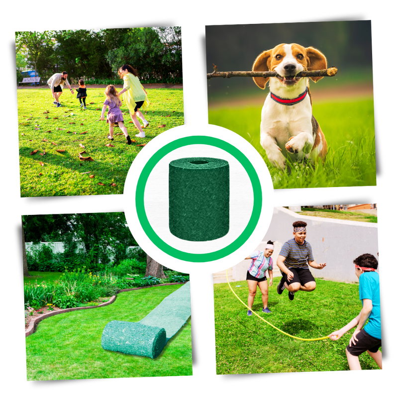 Tapis de semences de gazon vert à fixation rapide