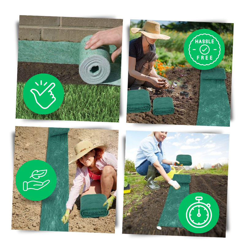 Tapis de semences de gazon vert à fixation rapide