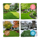 Tapis de semences de gazon vert à fixation rapide