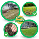 Tapis de semences de gazon vert à fixation rapide
