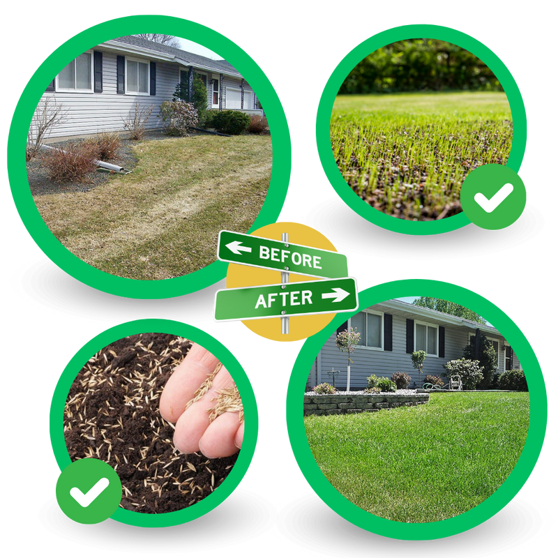 Tapis de semences de gazon vert à fixation rapide