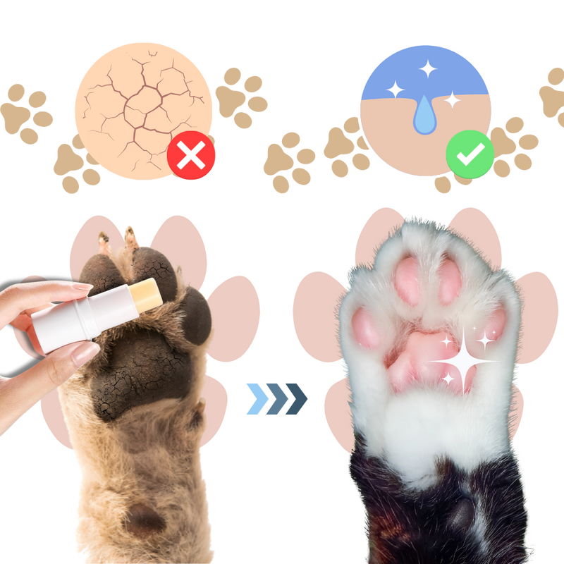 Baume apaisant pour coussinets d'animaux